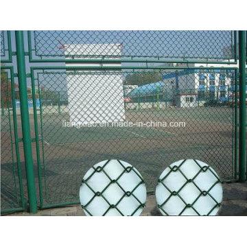 Hot Sale Haute qualité Chain Link Fence (HPZS6006)